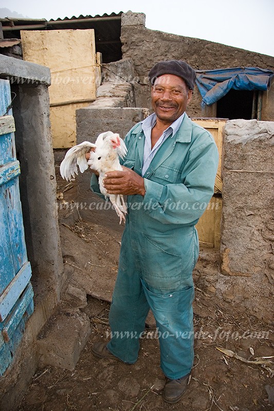 So Nicolau : Cabealinho : agricultor : People WorkCabo Verde Foto Gallery
