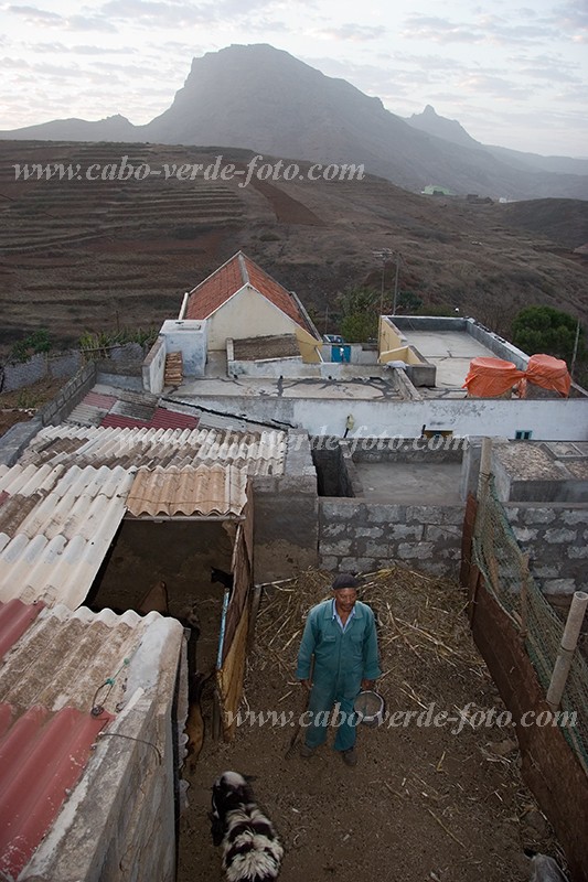 So Nicolau : Cabealinho : farmer : People WorkCabo Verde Foto Gallery