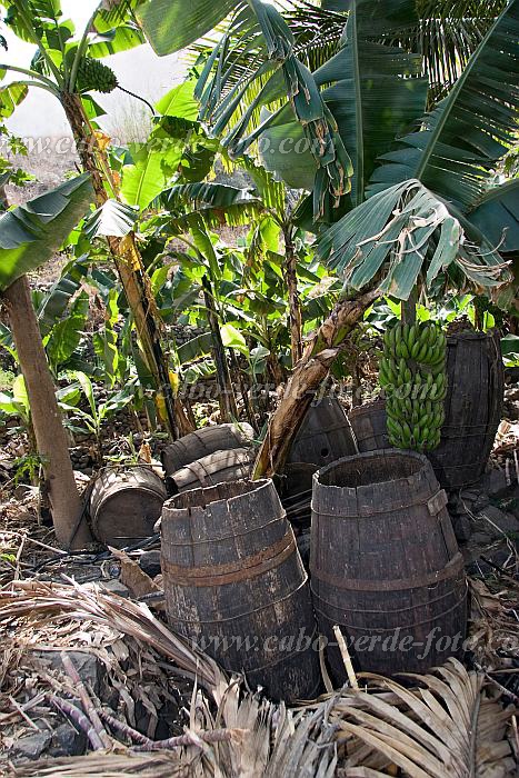 So Nicolau : Faj : Fabricacao de grouge : People WorkCabo Verde Foto Gallery