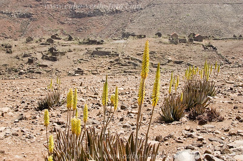 Insel: So Nicolau  Wanderweg:  Ort:  Motiv: Verfallenes Dorf Motivgruppe: Landscape Town © Florian Drmer www.Cabo-Verde-Foto.com