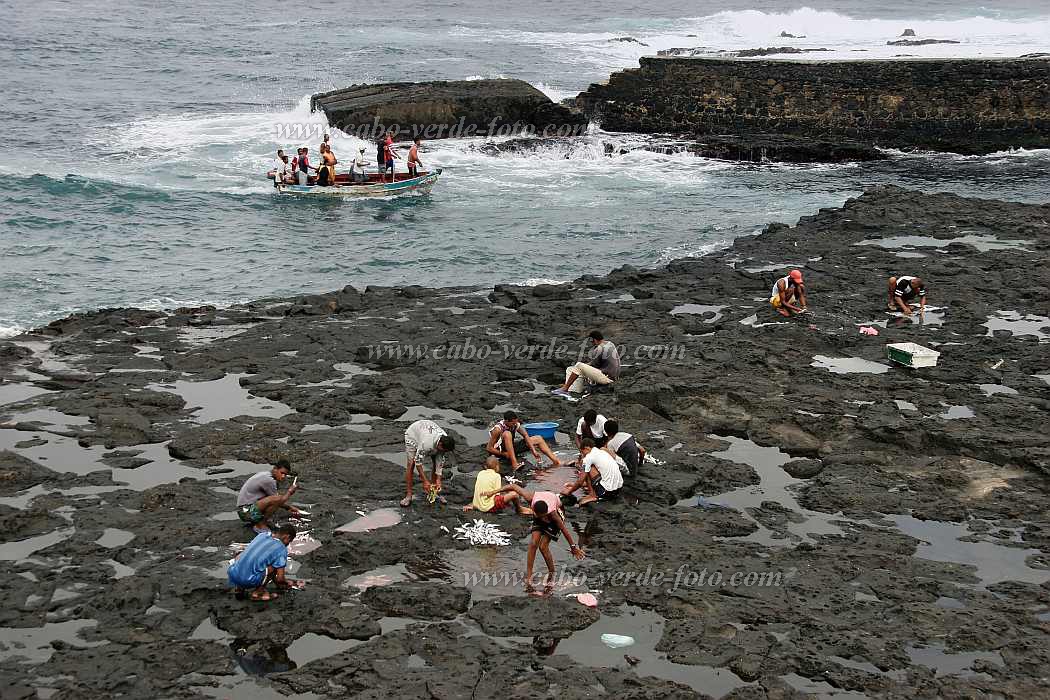 Santo Anto : Ponta do Sol : peixe : People WorkCabo Verde Foto Gallery