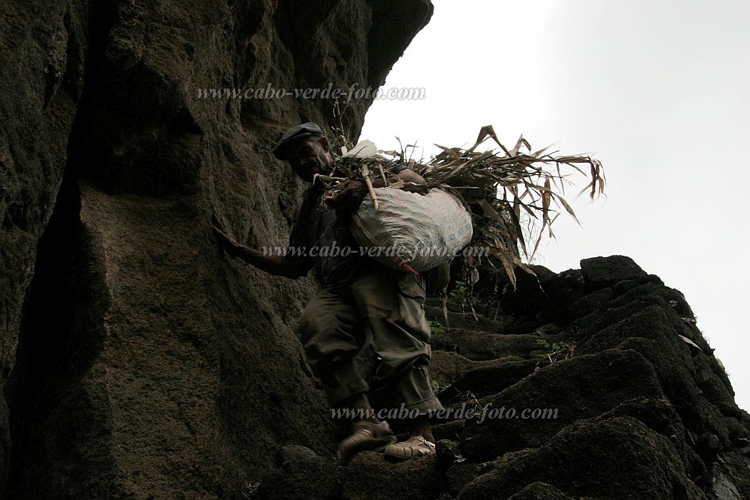 Santo Anto : Fontainhas Manuel d Joelho : agricultor : People WorkCabo Verde Foto Gallery