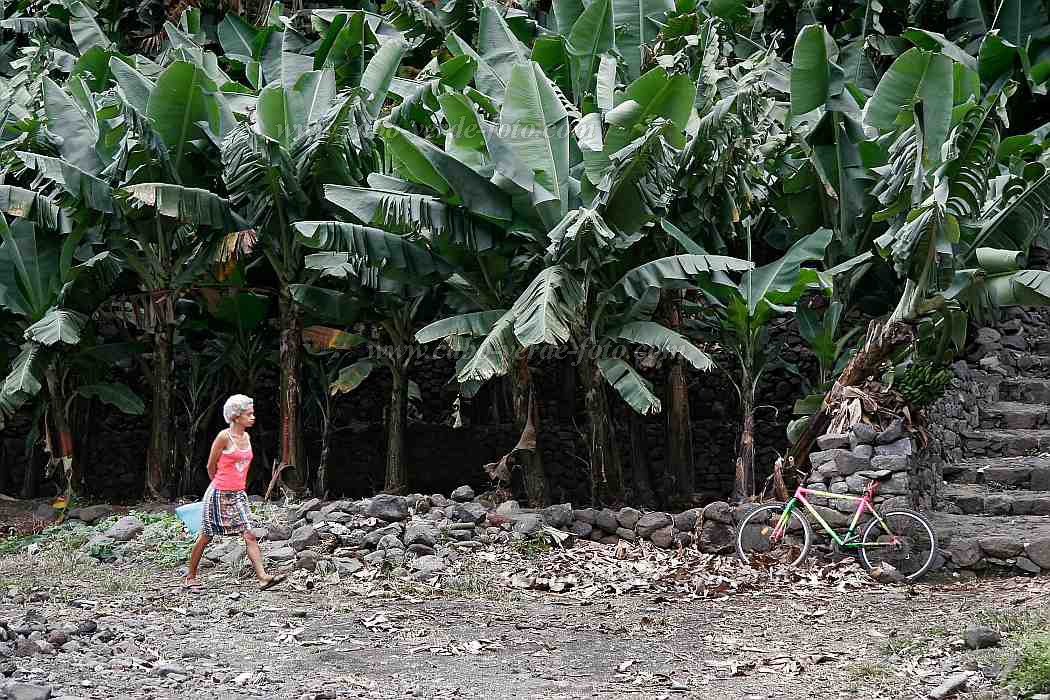 Santo Anto : Ribeira Grande : town : Landscape TownCabo Verde Foto Gallery