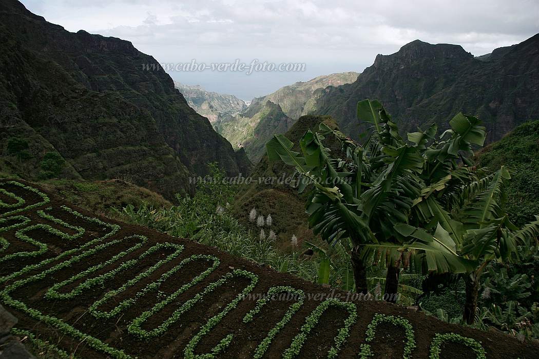 Santo Anto : Lombo de Pico : hiking trail : Landscape AgricultureCabo Verde Foto Gallery