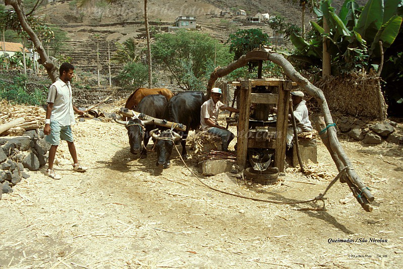 So Nicolau : Queimadas : trapiche : LandscapeCabo Verde Foto Gallery