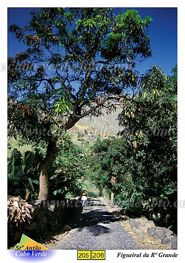 Santo Anto : Figueiral : Hiking on a cubble stone road : Landscape MountainCabo Verde Foto Gallery