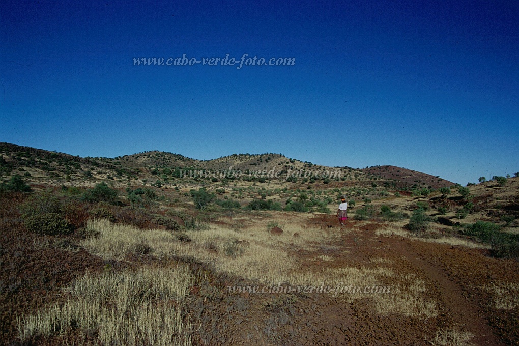 Santo Anto : Marocos : dustroad Espadana Marocos : Landscape MountainCabo Verde Foto Gallery