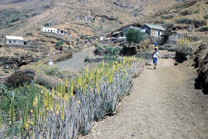 So Nicolau : Palhal : hiking trail : Landscape MountainCabo Verde Foto Gallery