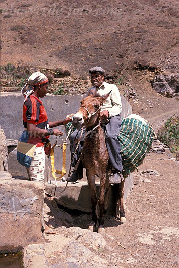 So Nicolau : Palhal : mule : People WorkCabo Verde Foto Gallery