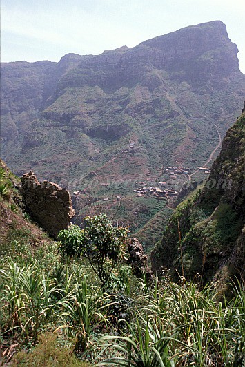 So Nicolau : Covoada : field : Landscape MountainCabo Verde Foto Gallery