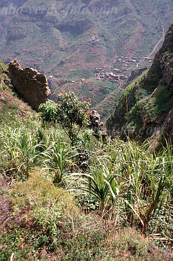 Insel: So Nicolau  Wanderweg:  Ort: Covoada Motiv: Feld Motivgruppe: Landscape Mountain © Pitt Reitmaier www.Cabo-Verde-Foto.com