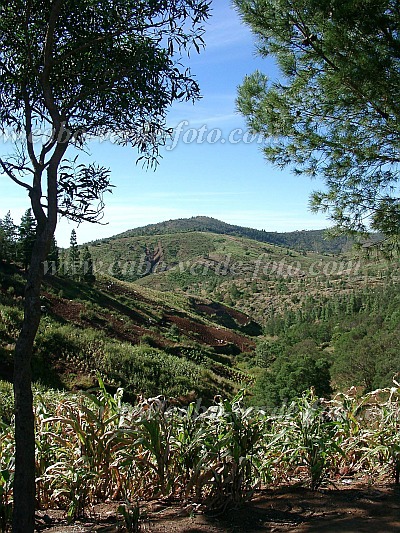 Santo Anto : Espongeiro Morro de Vento : view on Lagoa green maize : Landscape AgricultureCabo Verde Foto Gallery