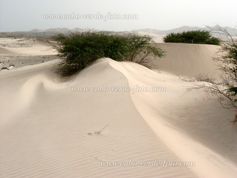 Boa Vista : Deserto Viana : desert : Landscape DesertCabo Verde Foto Gallery