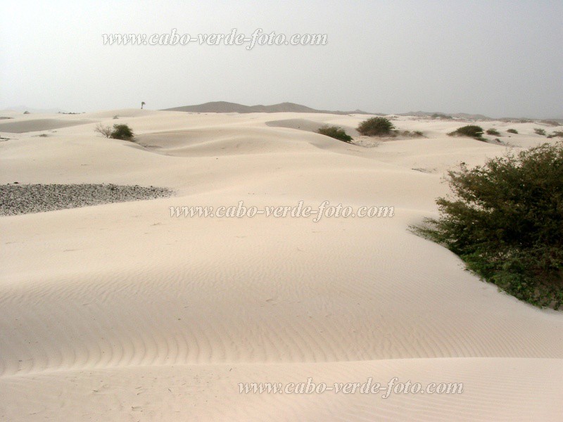 Boa Vista : Deserto Viana : deserto : Landscape DesertCabo Verde Foto Gallery