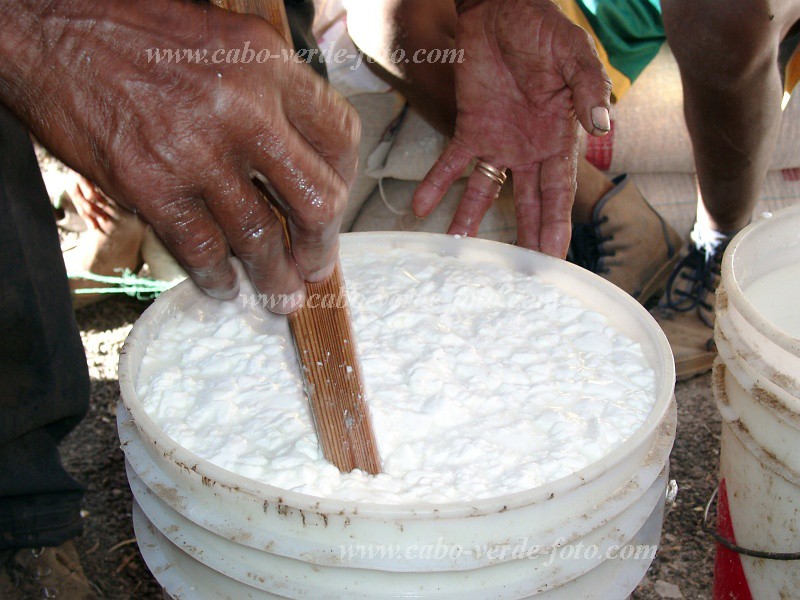 Santo Ant�o : Lagoinha : cheese : Technology AgricultureCabo Verde Foto Gallery