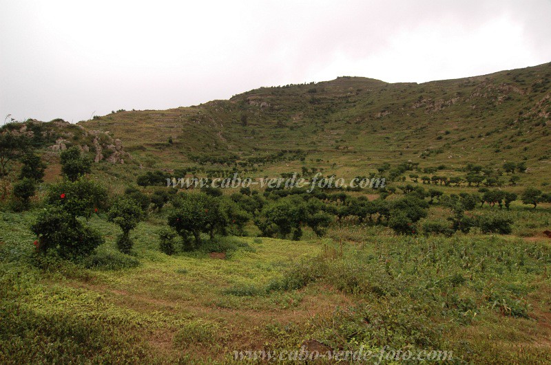 Brava : Cova de Paúl : campo : Landscape AgricultureCabo Verde Foto Gallery