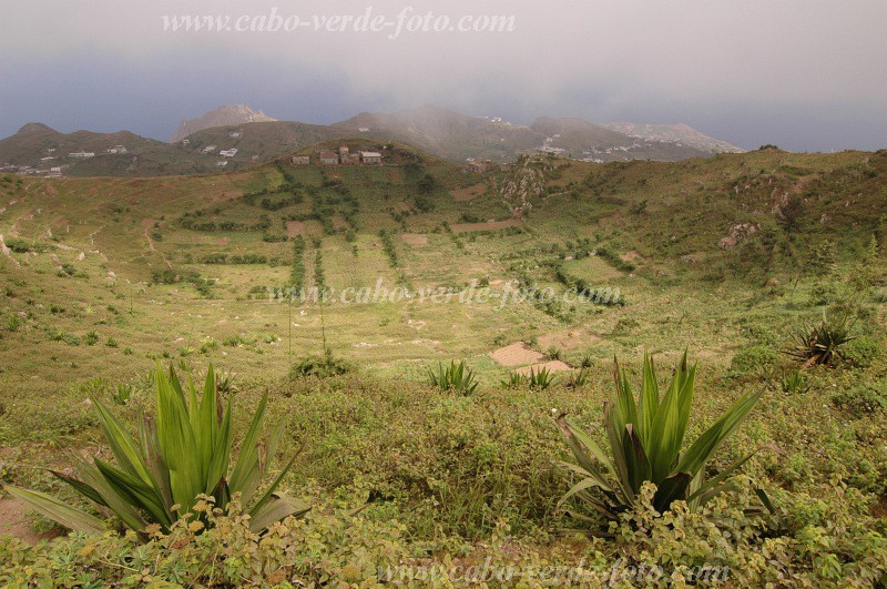 Brava : Cova de Paúl : campo : Landscape AgricultureCabo Verde Foto Gallery