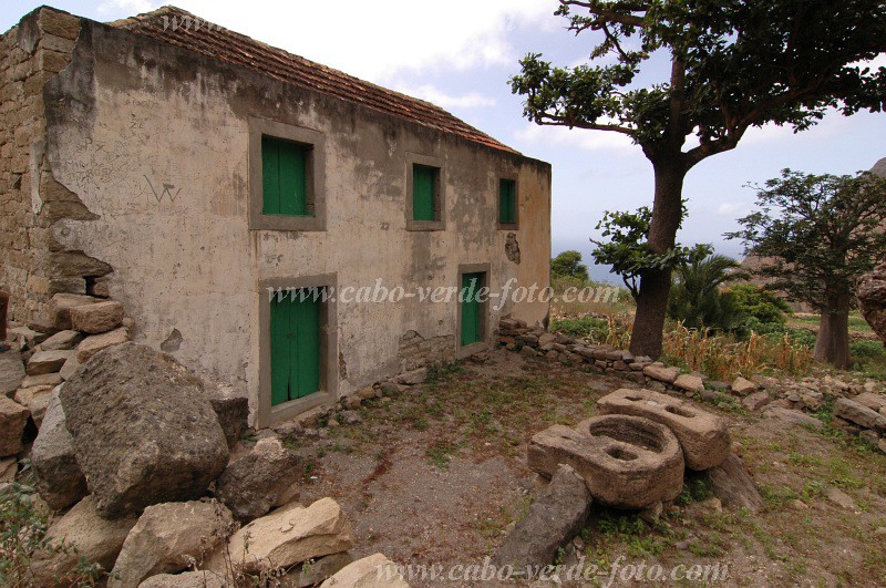 Brava : Lavadura : farm : Landscape AgricultureCabo Verde Foto Gallery