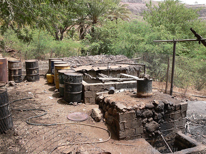 Santiago : Santa Ana : fabricao de grogue : People WorkCabo Verde Foto Gallery