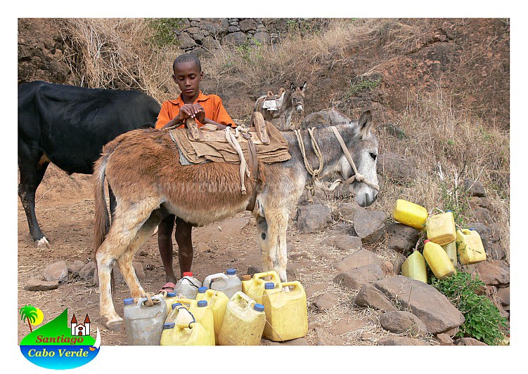 Santiago : Fonte Riba Rui Vaz : spring : People WorkCabo Verde Foto Gallery