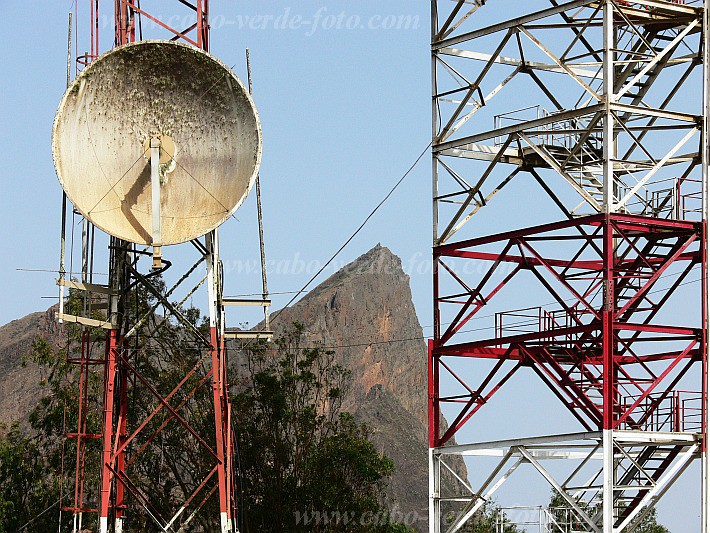 Santiago : Monte Tchota Rui Vaz : antennas : Nature PlantsCabo Verde Foto Gallery