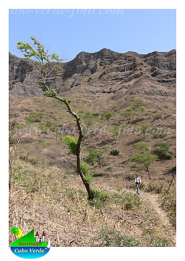 Santiago : Achada Mula Junco Assomada : hiking track : Landscape MountainCabo Verde Foto Gallery