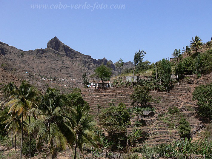 Santiago : Principal : field : Landscape AgricultureCabo Verde Foto Gallery