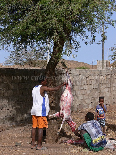 Santiago : Ribeirao Manuel : talho : People WorkCabo Verde Foto Gallery