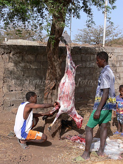 Santiago : Ribeirao Manuel : talho : People WorkCabo Verde Foto Gallery