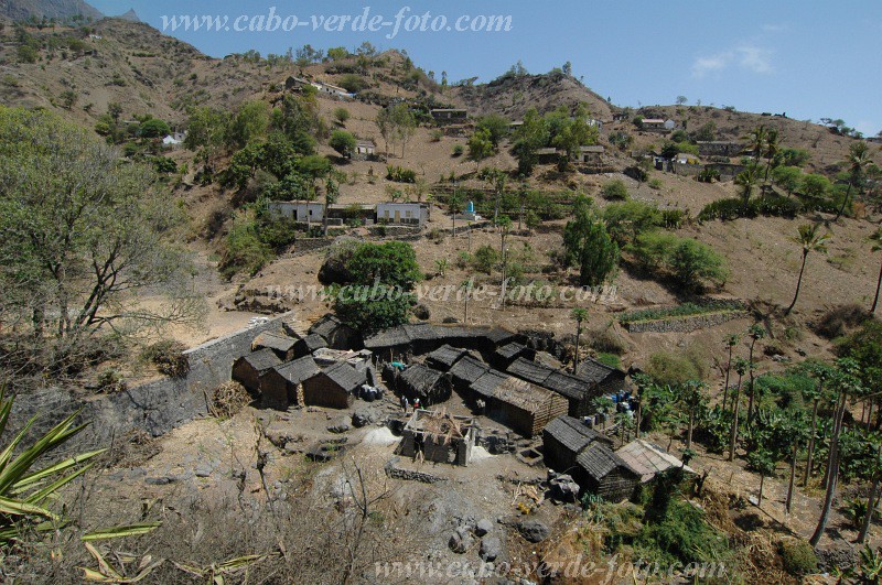Santiago : Longueira : Fabricao de grogue : Landscape AgricultureCabo Verde Foto Gallery