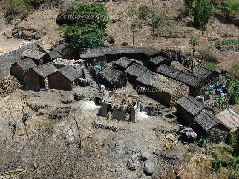 Santiago : Longueira : Fabricao de grogue : Landscape AgricultureCabo Verde Foto Gallery
