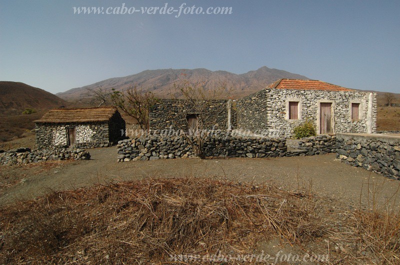 Fogo : Achada da Lapa : farm : Landscape AgricultureCabo Verde Foto Gallery