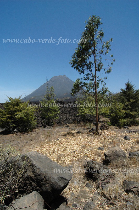 Insel: Fogo  Wanderweg:  Ort: Ch� das Caldeiras Motiv: Vulkan Motivgruppe: Landscape Mountain &copy; Pitt Reitmaier www.Cabo-Verde-Foto.com