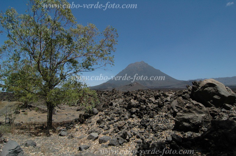 Insel: Fogo  Wanderweg:  Ort: Ch� das Caldeiras Motiv: Vulkan Motivgruppe: Landscape Mountain &copy; Pitt Reitmaier www.Cabo-Verde-Foto.com