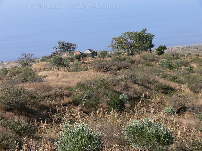 Fogo : Mae Chabi Maria Chave : farm : Landscape AgricultureCabo Verde Foto Gallery