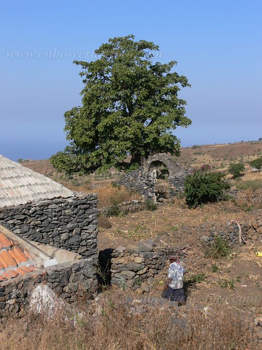 Fogo : Mae Chabi Maria Chave : farm : LandscapeCabo Verde Foto Gallery