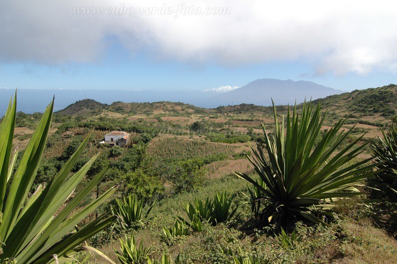 Brava : Fontainhas : highland : LandscapeCabo Verde Foto Gallery