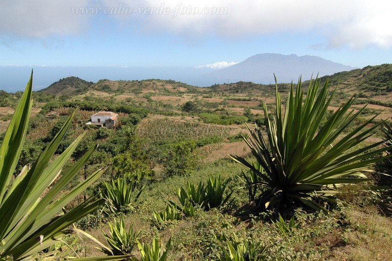 Brava : Fontainhas : highland : Landscape MountainCabo Verde Foto Gallery