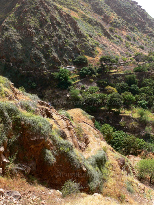 Brava : Ferreiros Odjo d Agua : hiking trail : Landscape MountainCabo Verde Foto Gallery
