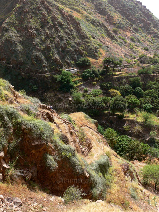 Insel: Brava  Wanderweg:  Ort: Ferreiros Odjo d Agua Motiv: Wanderweg Motivgruppe: Landscape Mountain © Pitt Reitmaier www.Cabo-Verde-Foto.com