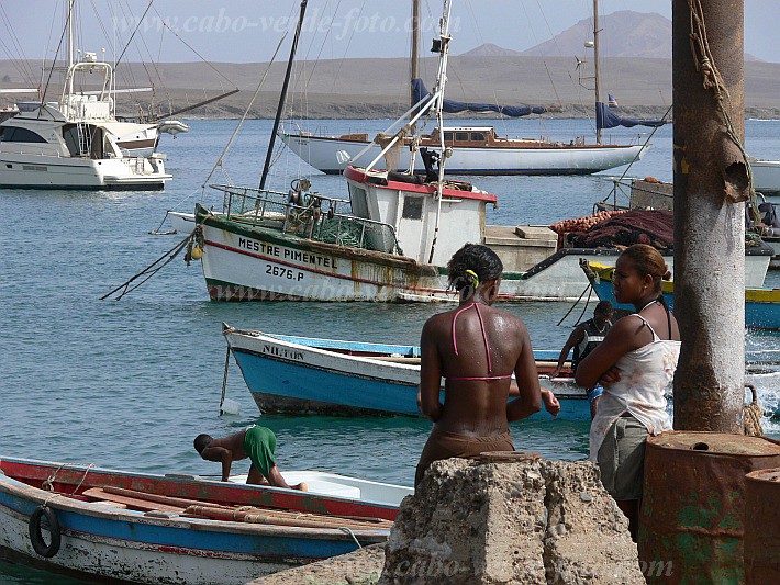 Sal : Palmeira : harbour : Landscape SeaCabo Verde Foto Gallery
