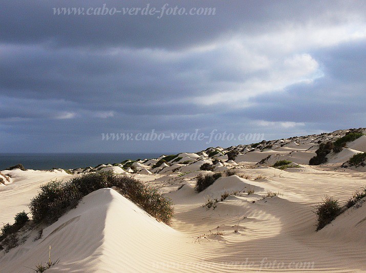 Boa Vista : Cabo Santa Maria : dune : Landscape DesertCabo Verde Foto Gallery