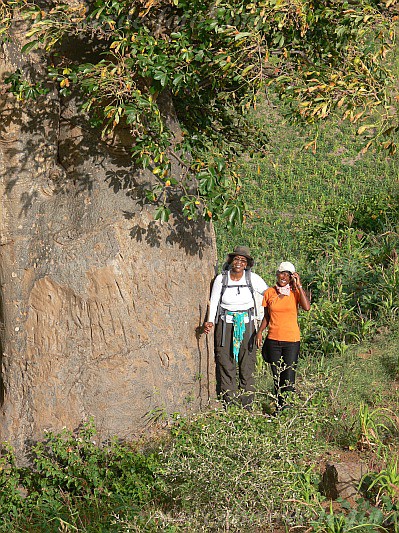 Insel: Santiago  Wanderweg:  Ort: Aguas Podres Motiv: Affenbrotbaum Motivgruppe: People Recreation © Pitt Reitmaier www.Cabo-Verde-Foto.com