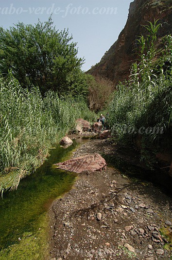 Insel: Santiago  Wanderweg:  Ort: Tabugal Motiv: Wanderweg Motivgruppe: Landscape © Pitt Reitmaier www.Cabo-Verde-Foto.com
