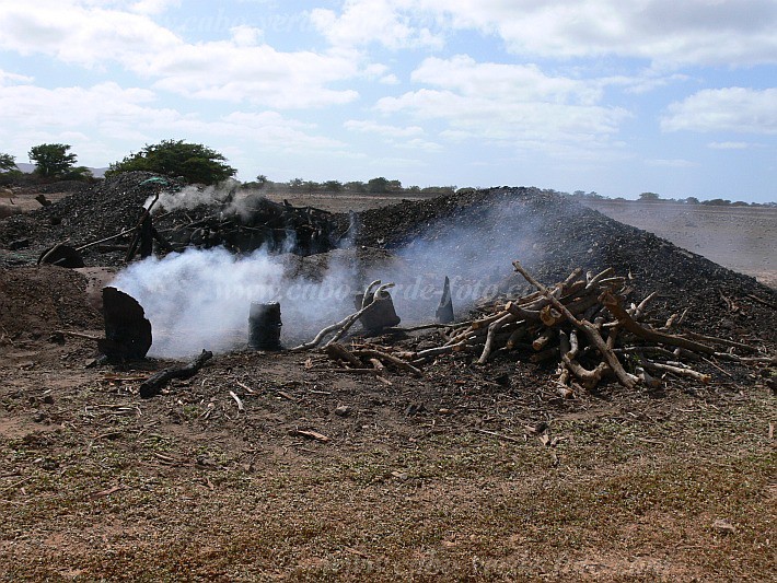 Insel: Maio  Wanderweg:  Ort: Morinho Motiv: Holzkohle Motivgruppe: Technology Energy © Pitt Reitmaier www.Cabo-Verde-Foto.com