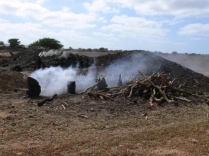 Maio : Morinho : charcoal : Technology EnergyCabo Verde Foto Gallery