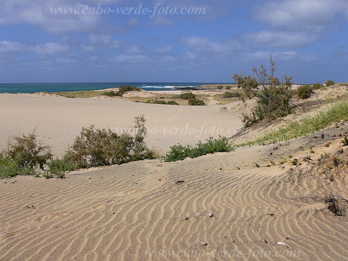 Maio : Calhetinha : dune : Landscape SeaCabo Verde Foto Gallery