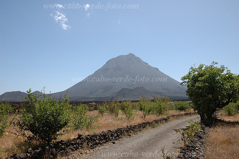 Fogo : Ch das Caldeiras : hiking track : Landscape MountainCabo Verde Foto Gallery