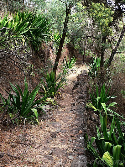 Insel: Fogo  Wanderweg:  Ort: Monte Velha Motiv: Wanderweg Motivgruppe: Landscape Mountain © Pitt Reitmaier www.Cabo-Verde-Foto.com