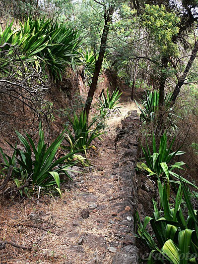 Fogo : Monte Velha : hiking track : Landscape MountainCabo Verde Foto Gallery